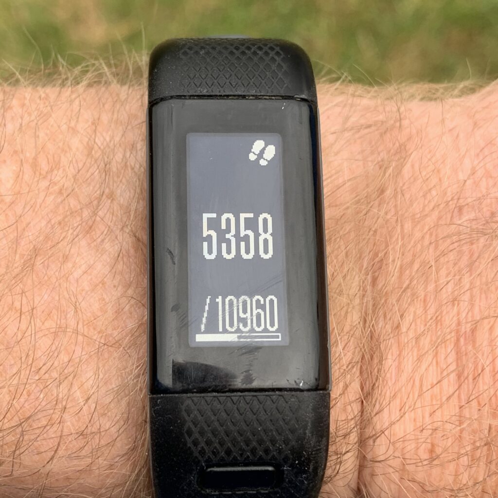 Garmin vivoactive 2025 hr strava