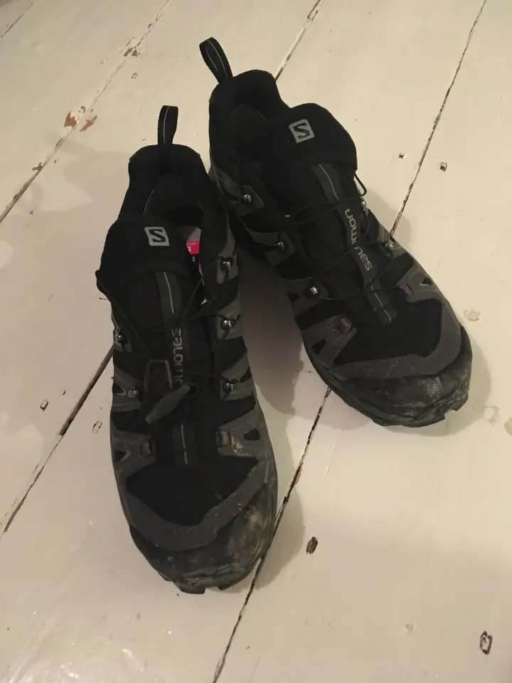 Salomon Ultra X hiking shoes