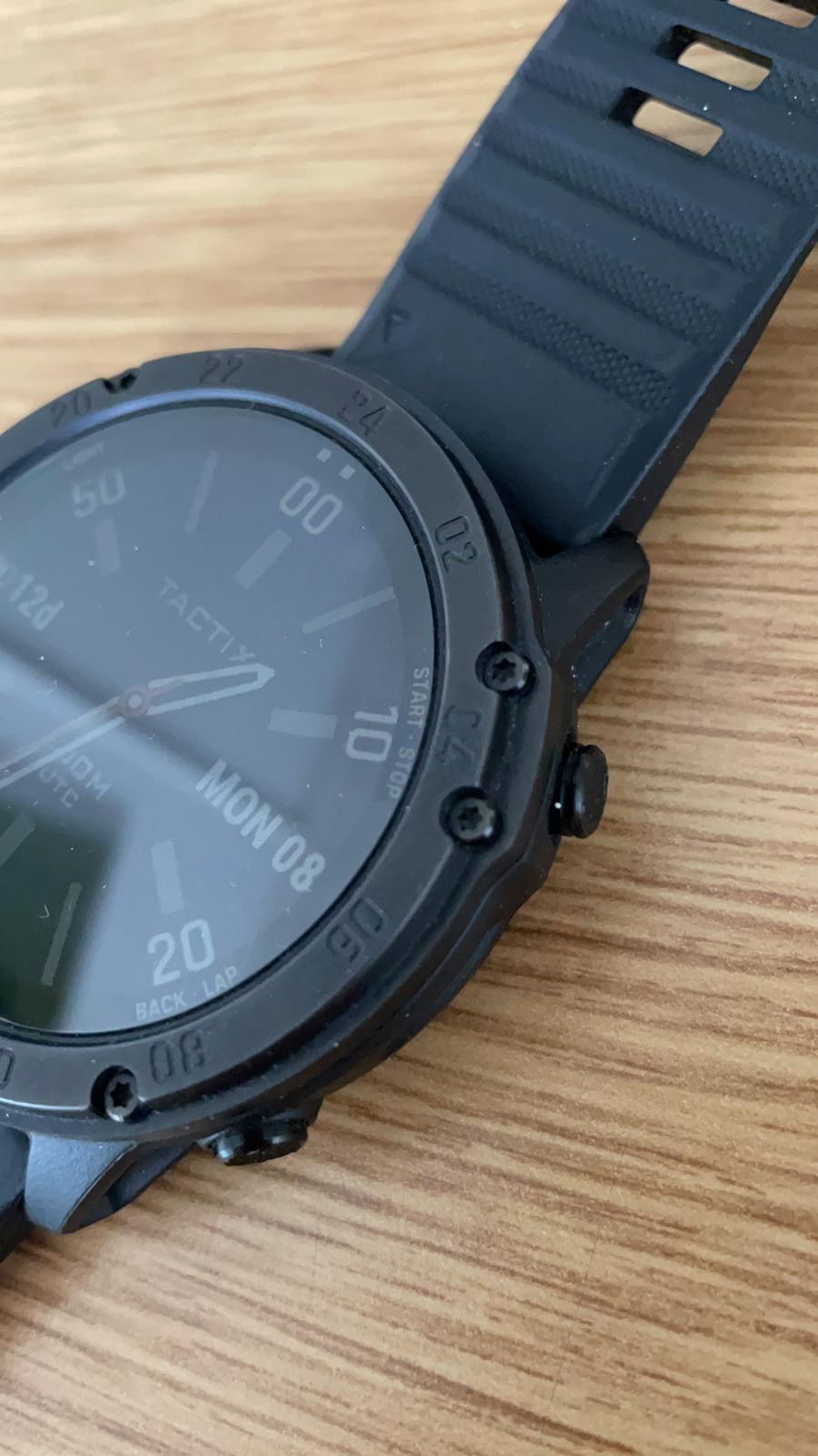 garmin fenix delta