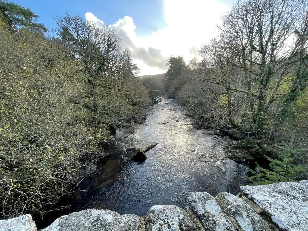 image of woodland either side of Dartmoor river