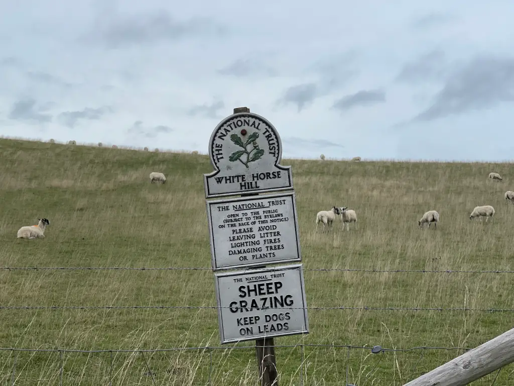 image of the white horse hill signage